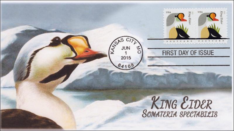 SC 4992, 2015, Coastal Birds, King Eider, FDC, BW, 15-170