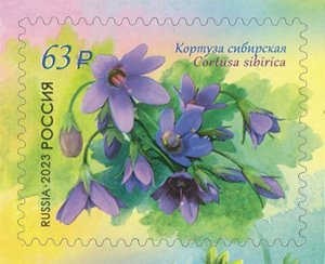 Postage stamps of Russia 2023 - Flora of Russia. Primroses