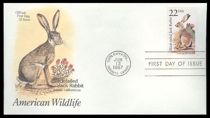 #2305 Black-tailed Jack Rabbit Artcraft FDC