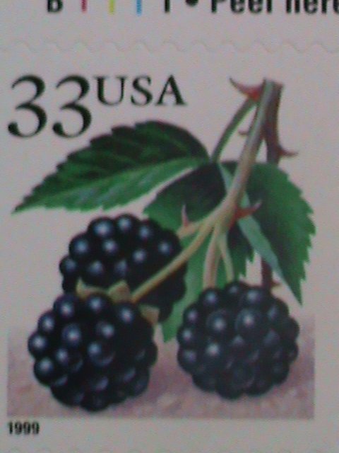 ​UNITED STATES-2000-SC# 3404-7 THE AMERICAN BERRIES-MNH BOOKLET VERY FINE