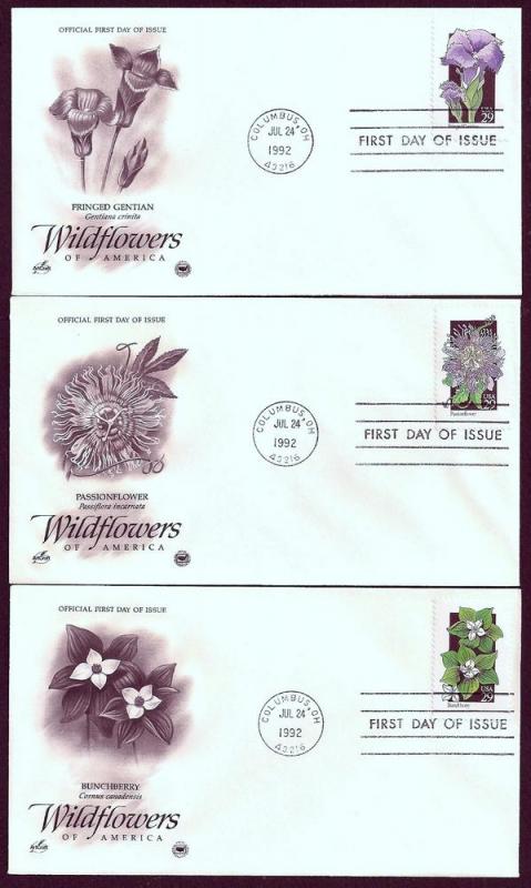 UNITED STATES FDCs (50) 29¢ Wildflowers 1992 Postal Commem