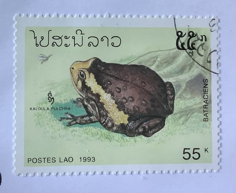 Laos 1993  Scott 1113 CTO - 55k,  Amphibians, 	Kaloula pulchra