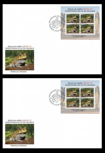 DJIBOUTI 2023 FDC SHEET 4V (REG & ORIGINAL PACKAGING) - FROGS FROGS - PANDEMIC-