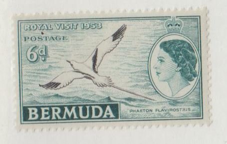 Bermuda Scott #152 Stamp - Mint Single