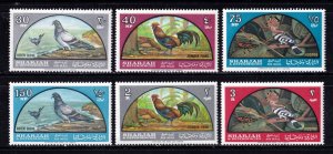 Sharjah     C28 - 31           MNH OG