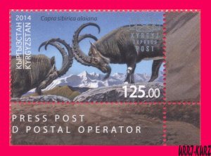 KYRGYZSTAN 2014 Fauna Wild Animals Mountain Goat Capricorn Ibex 1v Mi KEP 8 MNH