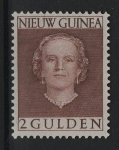 Netherlands New Guinea   #20  MNH 1952  Juliana   2g