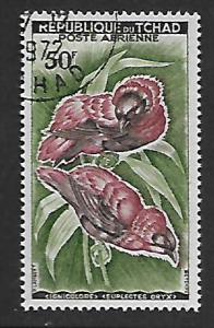 CHAD C2 USED RED BISHOPS, BIRD