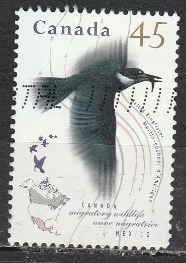 Canada   1564     (O)   1995