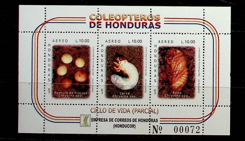 HONDURAS Sc C1138 NH SOUVENIR SHEET OF 2003 - INSECTS