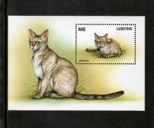 Lesotho 1998 - Cats Pets - Souvenir Stamp Sheet - Scott #1106 - MNH