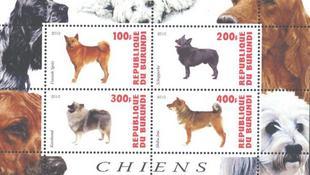 Burundi 2010 - Dogs Chines Animal Fauna S/S MNH Stamps (8)