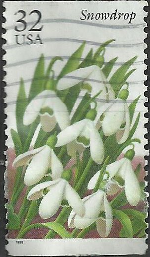 # 3028 USED SNOWDROP