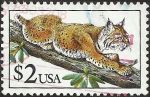 # 2482 USED BOBCAT