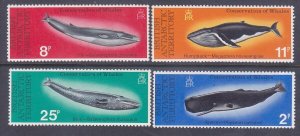 British Antarctic Terr (BAT) 64-67 MNH 1977 Whales Conservation Full Set of 4