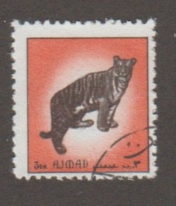 Ajman 2515A Tiger