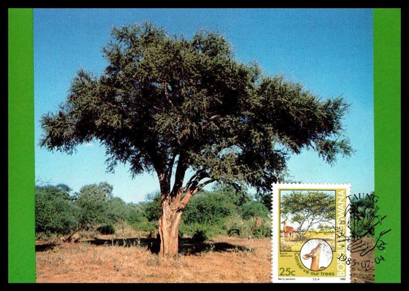 Bophuthatswana 169-172 Trees Set of Four Maxi Cards U/A FDC