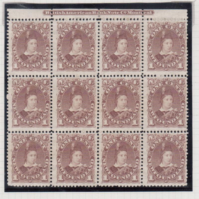 Newfoundland #42 Very Fine Mint Plate Block Of Twelve