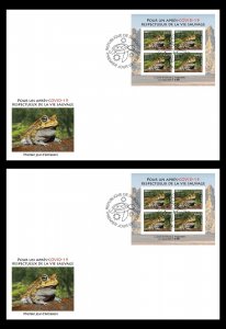 DJIBOUTI 2023 IMPERF FDC S/S (REG & ORIGINAL PACKAGING) - FROGS FROGS - PANDEMIC-