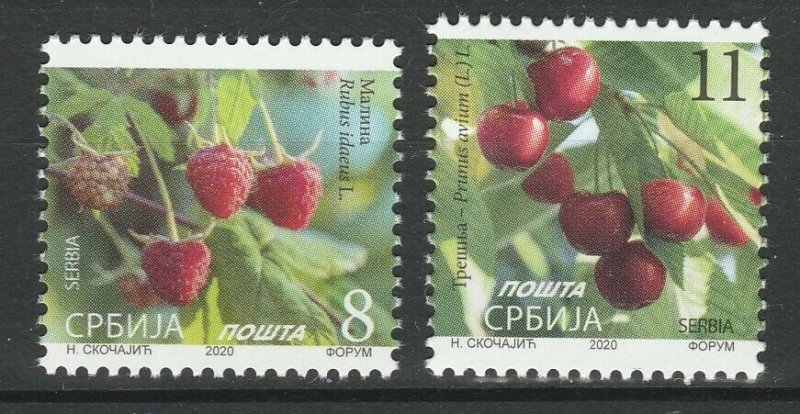 Serbia 2020 Berries 2 MNH stamps