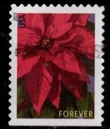 #4816 Poinsetta (Off Paper)- Used
