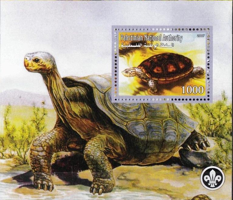PALESTINE SHEET CINDERELLA TURTLES REPTILS
