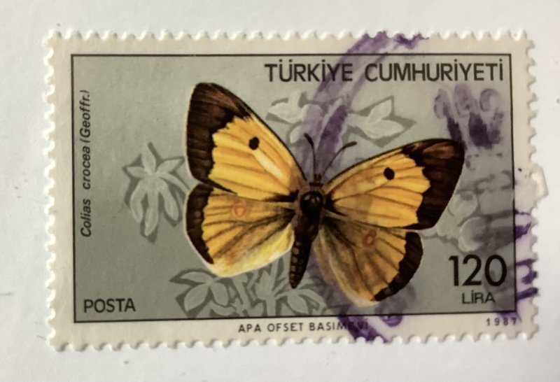 Turkey  1987  Scott  2374  used - 120 l,  Butterfly