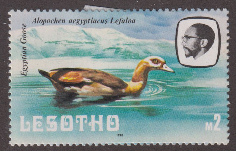 Lesotho 333 Egyptian Goose 1981