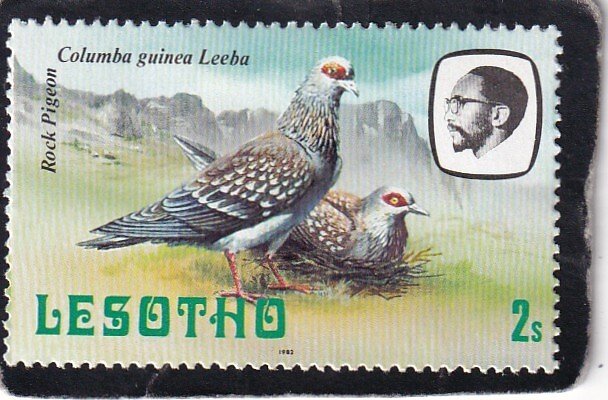 Lesotho   #   322   unused