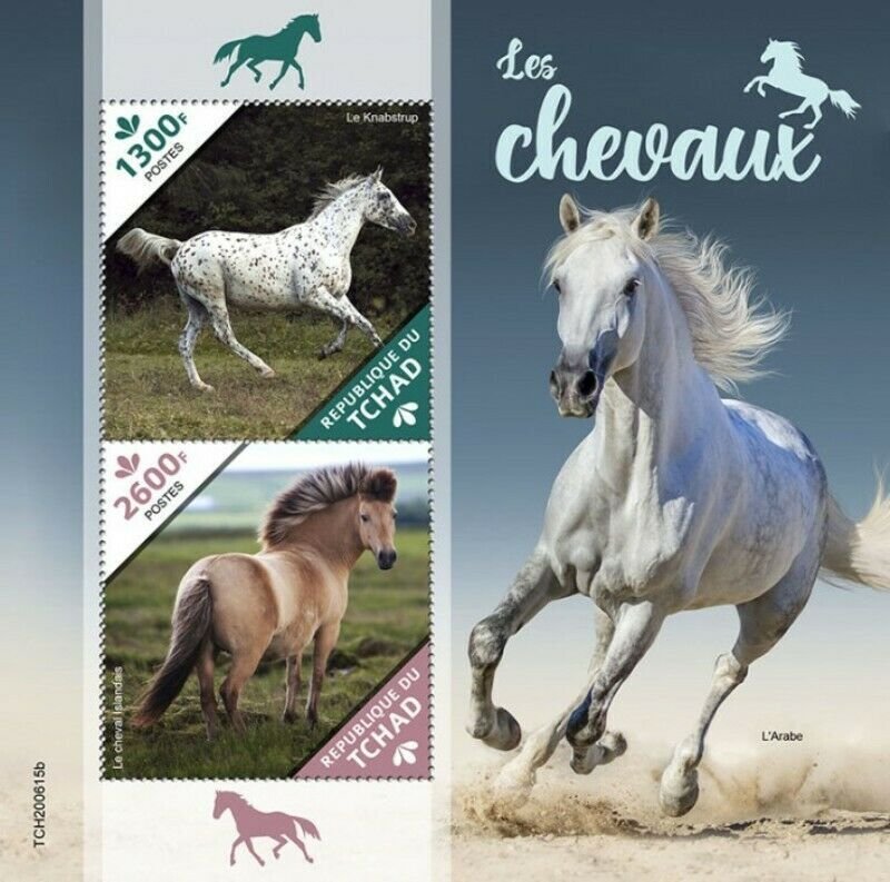 Chad - 2020 Horses, Knabstrupper, Icelandic - 2 Stamp Souvenir Sheet - 