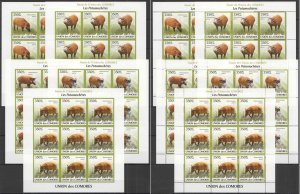 B0007 Imperf,Perf 2009 Comoros Fauna Wild Pigs Animals Boars 18Set Mnh