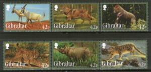 Gibraltar 2012 Rhinoceros Leopard Wolf Gorilla Animal Wildlife Sc 1353-58 MNH #