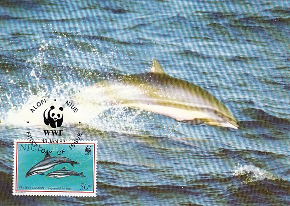 Niue 1993 Maxicard Sc #652 50c Fraser's dolphin WWF