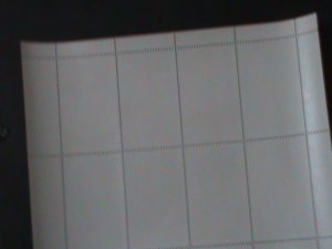 ​RUSSIA-TbIBA-TAIWAN SINGER-TERESA TENG LI QUIN  MNH MINI SHEET VERY FINE