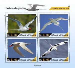 Sao Tome & Principe Birds on Stamps 2020 MNH Tropicbirds Tropicbird 4v M/S