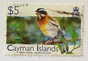 Cayman Islands 2006 Scott 981 used - $5, Bird, Western Spindalis