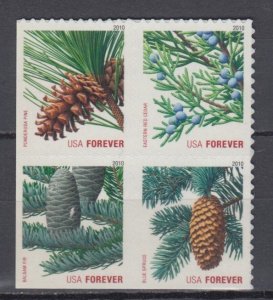 (F) ​USA Sc#4482-85 Holiday Evergreens  Block of 4  from ATM Booklet MNH