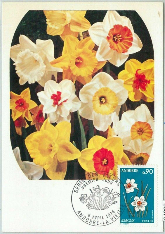 63376 - FRENCH ANDORRA - POSTAL HISTORY: MAXIMUM CARD - FLOWERS 1974 