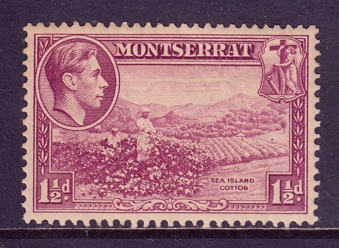 Montserrat - Scott #94a - MH - Toning - SCV $11