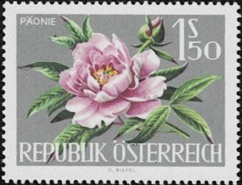 1964 Austria Scott Catalog Number 720 MNH