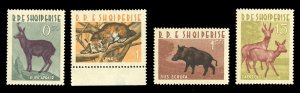 Albania #639-642 Cat$21.95, 1962 Animals, set of four, never hinged