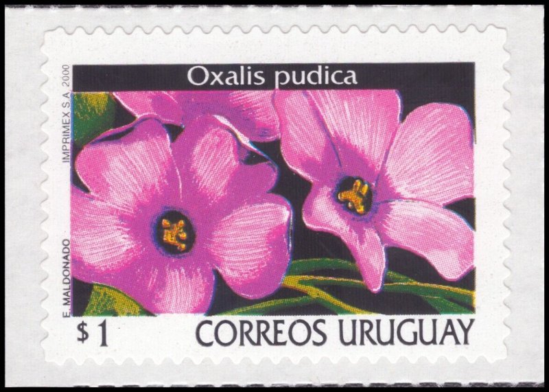 Uruguay 2000 Sc 1757b Flowers Oxalis