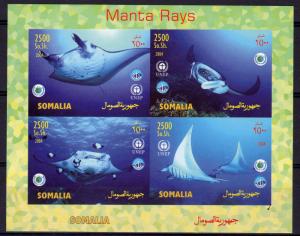 Somalia 2004 MANTA RAYS International year of the Ocean UNEP Sheetlet Imperf.MNH