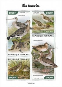 Togo - 2022 Wader Birds, Godwit, Sandpiper, Curlew - 4 Stamp Sheet - TG220214a