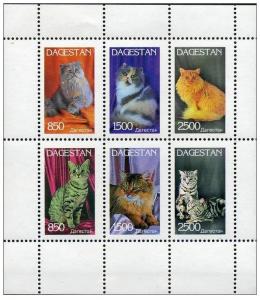 DAGESTAN SHEET CATS