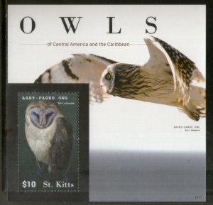 St. Kitts 2015 Ashy Faced Owls Birds of Prey Wildlife Fauna Sc 926 M/s MNH # 841