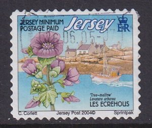 Jersey (2004) #1092g used