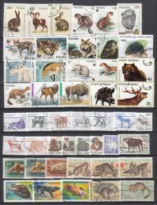 Animals from different islands and continen-155+ small stamp lot №2 - (2339)