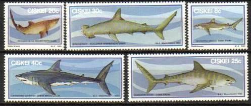 Ciskei - 1983 Sharks Set MNH** SG 38-42