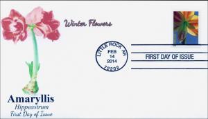 SC 4864, 2014 Winter Flowers, Amaryllis, FDC,  Item 14-049